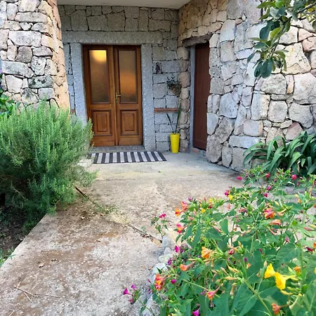 Rustic House